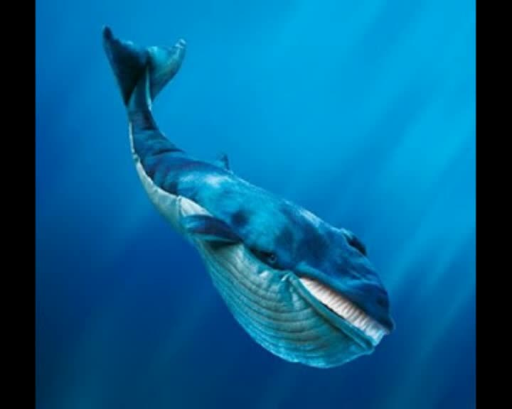 Павел Глоба Голубой кит (24-й градус Рыб)