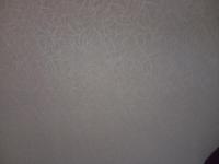 �������� ���������