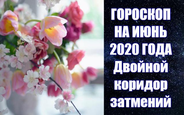 -   2020 .   .    2020. 