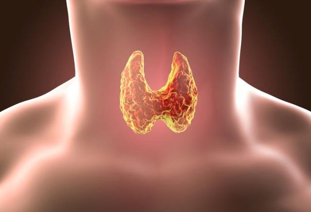 �������� � ������� ���������� ������