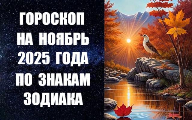 -   2025    