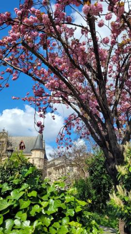 �������� �� ���� 2026 ����. �������� � ����� ��������