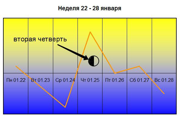 ¨   22-28 