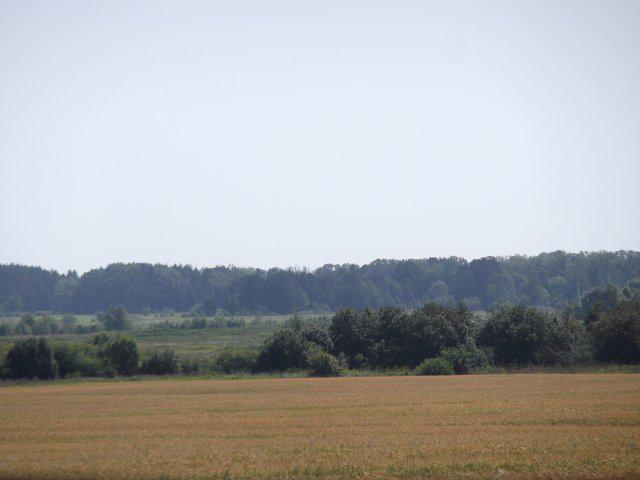       2015     21  .