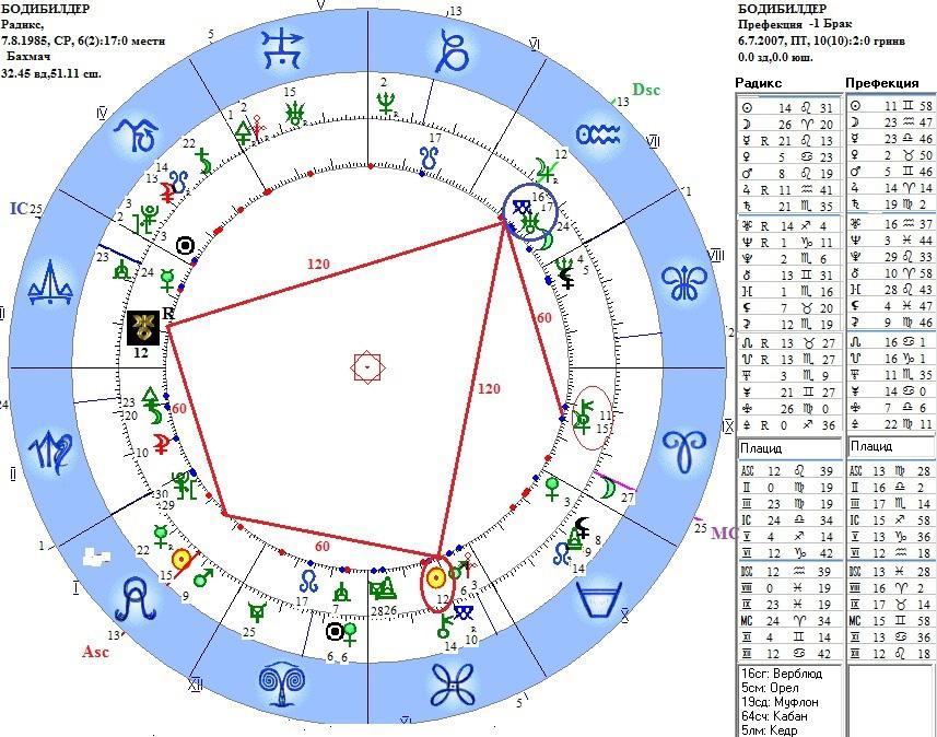 Сигнификатор в астрологии. Планета Хирон в натальной карте. Замужество в натальной карте женщины. Сигнификатор 7 дома это. Сигнификатор 2 дома.