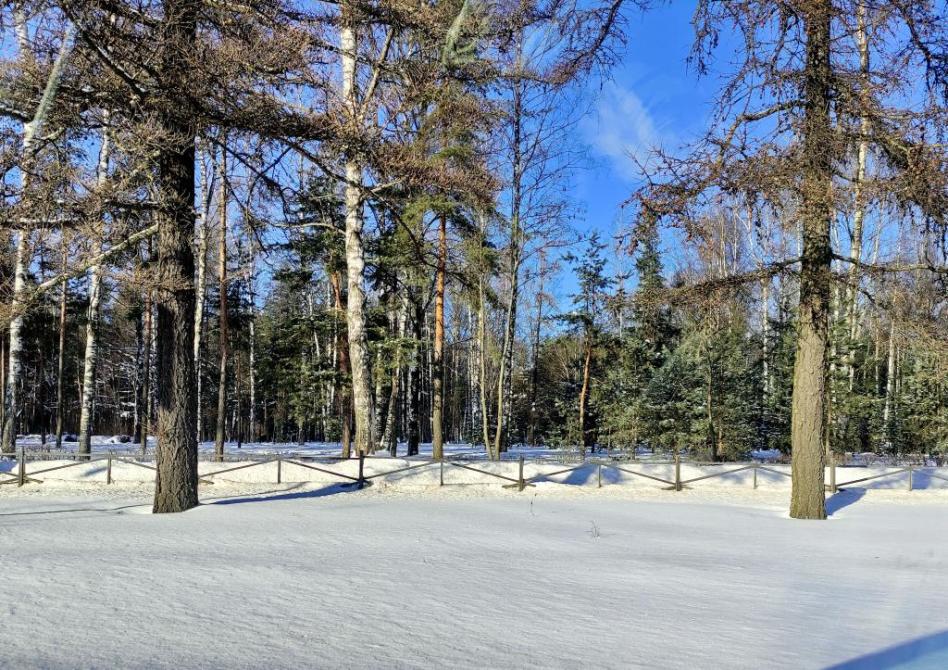 ��� ������������� �������� ���� �������� 03.02.2026