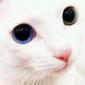 sad face