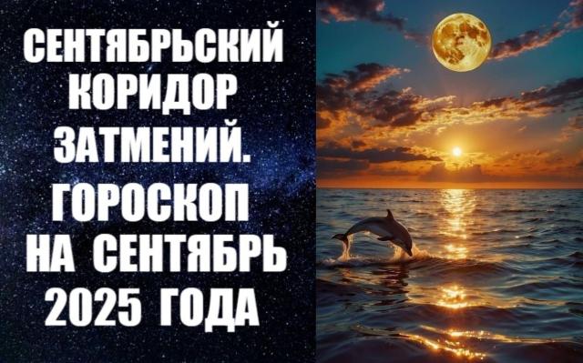 -   2025 