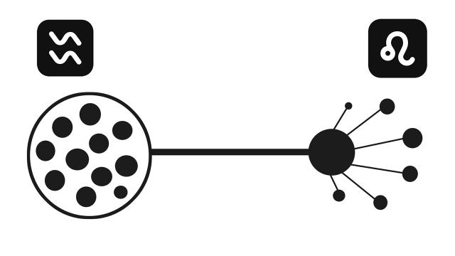 ����� �������� �������