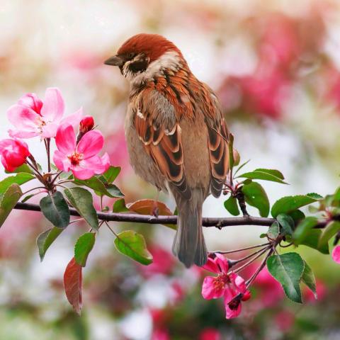 �������� �� ������ 2026 ����. ������� �� ����! 